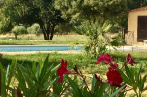 Coin de paradis en Provence
